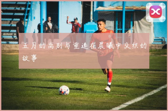 五月的离别与重逢在晨曦中交织的故事