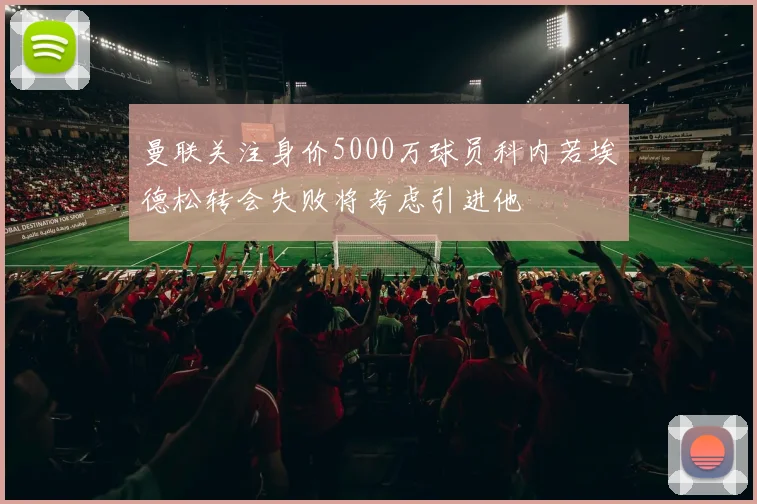 曼联关注身价5000万球员科内若埃德松转会失败将考虑引进他