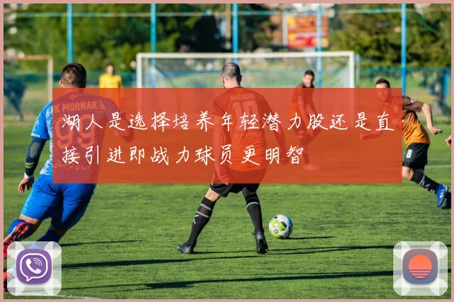 湖人是选择培养年轻潜力股还是直接引进即战力球员更明智
